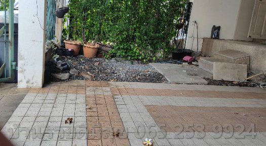 ให้เช่าทาวน์โฮม/ทาวน์เฮ้าส์3ชั้น ถนนพหลโยธิน48 ซอยสายหยุด บางเขน กรุงเทพมหานคร