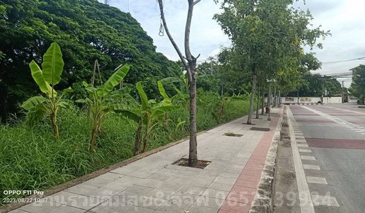 ขายถูกที่ดินเปล่า ถนนรามคำแหง ติดถนนใหญ่ 2ไร่26ตรว. ใกล้โรงเรียนเตรียมน้อม สะพานสูง กรุงเทพฯ