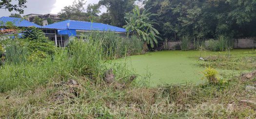 ขายที่ดินวัชรพลขายถูก เนื้อที่186ตรว. ราคา35,000บาท/ตรว. ถนนสุขาภิบาล5 แขวงท่าแร้ง เขตบางเขน กรุงเทพมหานคร