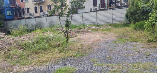 ขายที่ดินวัชรพลขายถูก เนื้อที่186ตรว. ราคา35,000บาท/ตรว. ถนนสุขาภิบาล5 แขวงท่าแร้ง เขตบางเขน กรุงเทพมหานคร