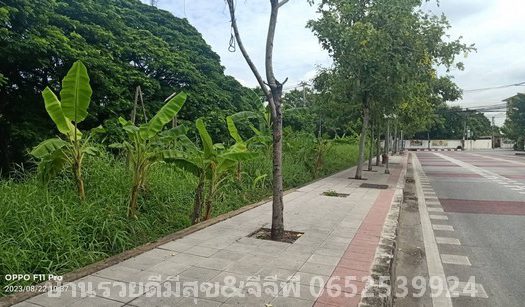 ขายที่ดินสำหรับทำโรงแรม ขายที่ดินสำหรับทำอพาร์ตเม้นท์ ขายที่ดินสำหรับทำ Office 2ไร่ 62ตรว. ถนนรามคำแหง สะพานสูง กรุงเทพฯ