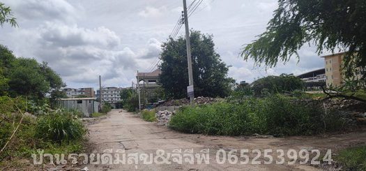 ขายที่ดินถนนสุขุมวิท 642ตรว. ถนนสุขุมวิท107 ลาซาล เข้าจากถนนใหญ่235เมตร พระโขนง กรุงเทพมหานคร