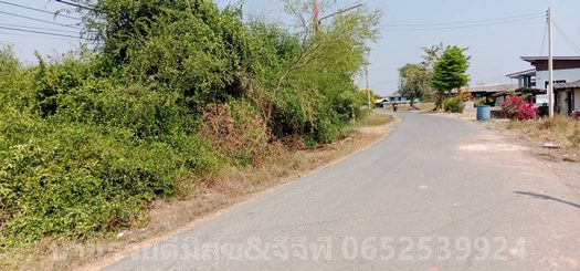 ขายที่ดินสำหรับสร้างบ้านตำบลดอนทราย 2แปลง แปลงละ680,000บาท ตำบลดอนทราย อำเภอบ้านโพธิ์ จังหวัดฉะเชิงเทรา