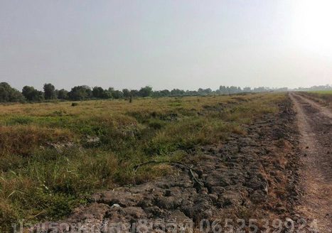 ขายที่ดินเปล่า100ไร่ ราคาไร่ละ1,700,000บาท รังสิตคลอง14 พื้นที่สีเขียว ใกล้โรงงานโค๊ก โรงงานน้ำยาปรับผ้านุ่ม คลองสิบสี่ ตำบลบึงคอไห อำเภอลำลูกกา ปทุมธานี