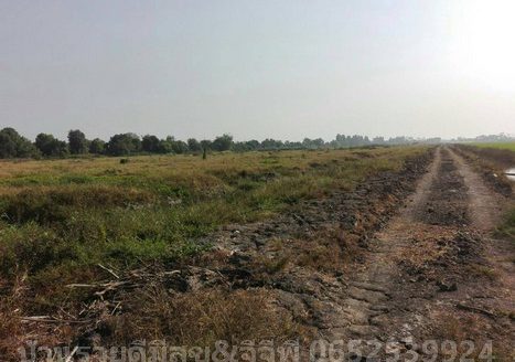 ขายที่ดินเปล่า100ไร่ ราคาไร่ละ1,700,000บาท รังสิตคลอง14 พื้นที่สีเขียว ใกล้โรงงานโค๊ก โรงงานน้ำยาปรับผ้านุ่ม คลองสิบสี่ ตำบลบึงคอไห อำเภอลำลูกกา ปทุมธานี