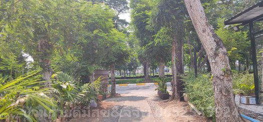 ให้เช่าบ้านเดี่ยว2ชั้น ม.สราญสิริ ถนนเลียบคลองสอง คลองหลวง ปทุมธานี