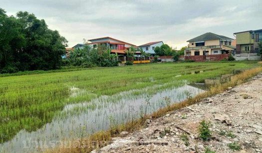 ขายที่ดิน596.8 ตารางวา ถนนเลียบคลองเปรมประชากร ซอยแจ่มสุข ต.สวนพริกไทย อ.เมือง จ.ปทุมธานี