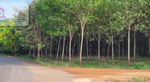 ขายที่ดินผังเมืองสีม่วงลายราคาถูกท่าบุญมี เกาะจันทร์ เนื้อที่ 109 -0-73 ไร่ ต.ท่าบุญมี อ.เกาะจันทร์ จ.ชลบุรี