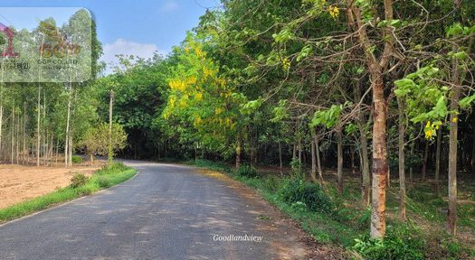 ขายที่ดินผังเมืองสีม่วงลายราคาถูกท่าบุญมี เกาะจันทร์ เนื้อที่ 109 -0-73 ไร่ ต.ท่าบุญมี อ.เกาะจันทร์ จ.ชลบุรี
