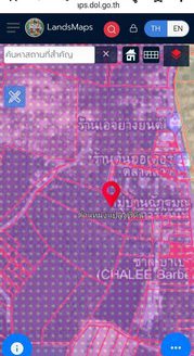ขายที่ดินสีม่วง ต.มาบตาพุด อ.เมือง จ.ระยอง (เนื้อที่ 29-1-43ไร่ ไร่ รวมเป็นเงิน 73,393,750 บาท) ต.มาบตาพุด อ.เมือง จ.ระยอง