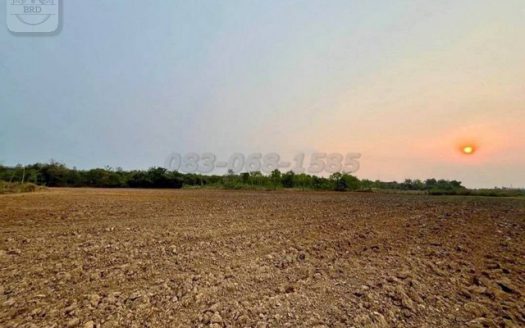 ขายที่ดินสีม่วงเข้มราคาถูก ต.บ่อทอง อ.กบินทร์บุรี เนื้อที่ 118 ไร่ ขายไร่ละ 8 แสน ต.บ่อทอง อ.กบินทร์บุรี จ.ปราจีนบุรี 25110