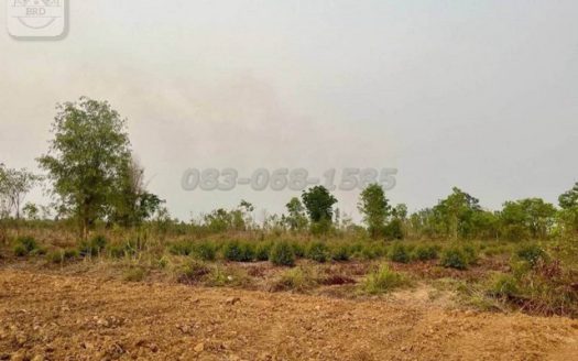 ขายที่ดินสีม่วงเข้มราคาถูก ต.บ่อทอง อ.กบินทร์บุรี เนื้อที่ 118 ไร่ ขายไร่ละ 8 แสน ต.บ่อทอง อ.กบินทร์บุรี จ.ปราจีนบุรี 25110