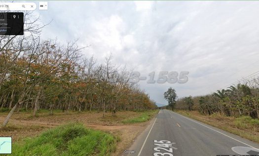 ขายที่ดินสีเหลืองหนองใหญ่ หนองใหญ่ ชลบุรี (เนื้อที่ 1800 ไร่ ขายไร่ละ 1.1 ล้านบาท)หนองใหญ่ หนองใหญ่ ชลบุรี