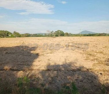 ขายที่ดินสีเหลือง  เนื้อที่ 1114 ไร่ ขายไร่ละ 1.15 ล้าน หนองอิรุณ บ้านบึง ชลบุรี