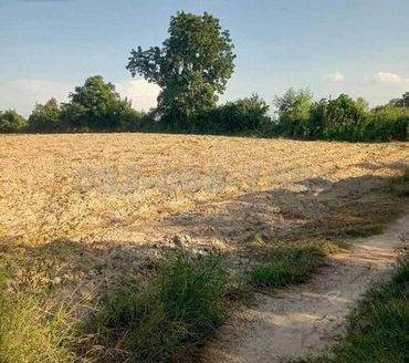 ขายที่ดินสีเหลือง  เนื้อที่ 1114 ไร่ ขายไร่ละ 1.15 ล้าน หนองอิรุณ บ้านบึง ชลบุรี