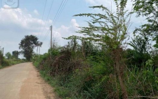 ขายที่ดินสีเหลืองเกาะจันทร์ บ้านบึง (เนื้อที่ 58 ไร่ ขายไร่ละ 7 แสน รวมเป็นเงิน 40,000,000 ล้านบาท) ท่าบุญมี เกาะจันทร์ ชลบุรี 20240