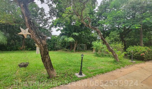 ให้เช่าบ้านเดี่ยว 2 ชั้น เนื้อที่ 228 ตารางวา รังสิตคลอง2 ถนนรังสิต-นครนายก  ม.สราญสิริ ตำบลคลองสอง อำเภอคลองหลวง ปทุมธานี