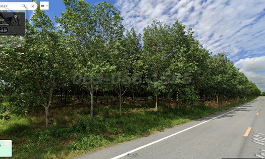 ขายถูกที่ดินถนน ถนน4064 บ้านบึง หนองใหญ่ (เนื้อที่ 39-1-86.5 ไร่ ขายไร่ละ 2.5 ล้านบาท รวมเป็นเงิน 98 ล้าน) อ.บ้านบึง จ.ชลบุรี