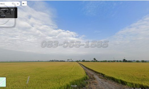 ขายถูกที่ดินสีเขียว ถนนเทพราชลาดกระบัง (เนื้อที่ 334 -3 – 61.4 ไร่ ขายไร่ละ1.6ล้าน รวมเป็นเงิน 534 ล้าน) บางบ่อ สมุทรปราการ