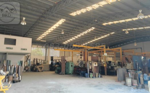 ขายโรงงานคลองส่งน้ำสุวรรณภูมิ บางนา กม.19  เนื้อที่ 1-1-41 ไร่ ขาย 36.5 ล้านบาท บางพลี สมุทรปราการ