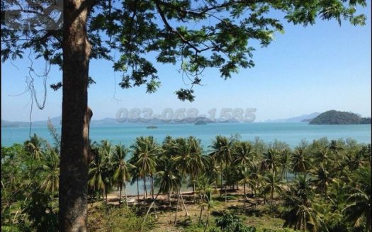 ขายที่ดินป่าคลอก ภูเก็ต เนื้อที่ 102 ไร่ ขายไร่ละ 15 ล้าน รวมเป็นเงิน 1,530 ล้าน อ.ถลาง ภูเก็ต