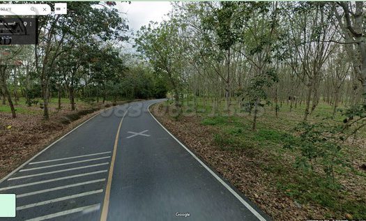 ขายที่ดินสีเหลืองสร้างโรงงาน สร้างโกดัง หนองใหญ่ เนื้อที่ 47-0-40 ไร่ ขายไร่ละ 2.2 ล้าน หนองใหญ่ ชลบุรี