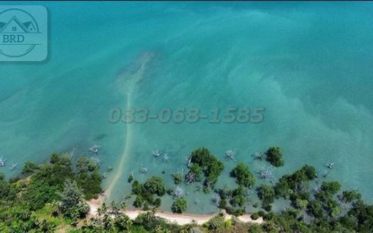 ขายที่ดินป่าคลอก ภูเก็ต เนื้อที่ 102 ไร่ ขายไร่ละ 15 ล้าน รวมเป็นเงิน 1,530 ล้าน อ.ถลาง ภูเก็ต