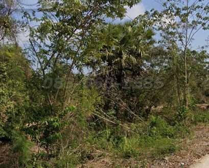 ขายถูกที่ดิน กบินทร์บุรี (เนื้อที่ 25ไร่ ขายไร่ละ 1.2 ล้าน) ต.สุวรรณ อ.กบินทร์บุรี จ.ปราจีนบุรี