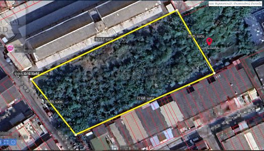 ขายถูกขายต่ำกว่าราคาตลาดมาก ที่ดิน ถนนพิบูลย์สงคราม เนื้อที่ 774.2 ตารางวา ขายยกแปลง 31 ล้าน เมือง นนทบุรี