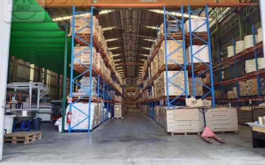 ครบยกเซท โรงงาน+โกดัง + คลังสินค้า + สำนักงาน บางนาตราด กม.23 เนื้อที่ 5-3-25 ไร่ ยกแปลง 99 ล้านบาท บางเสาธง จ.สมุทรปราการ