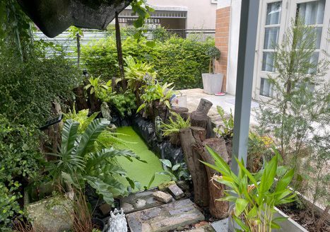 บ้านเช่าราคาดี้ดี้ 28,000/ด สราญสิริคลองสอง โซนหน้าสวน ถนนรังสิตนครนายก 4 นอน 4 น้ำ ใกล้ฟิวเจอร์ รังสิต ปทุมธานี