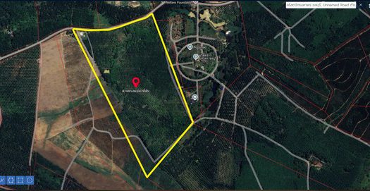 ราคาถูก ที่ดินผังสีเหลืองผสมม่วง เนื้อที่ 142-1-23 ไร่ ไร่ละ 1.8 ล้านบาท ต.ห้างสูง อ.หนองใหญ่ จ.ชลบุรี