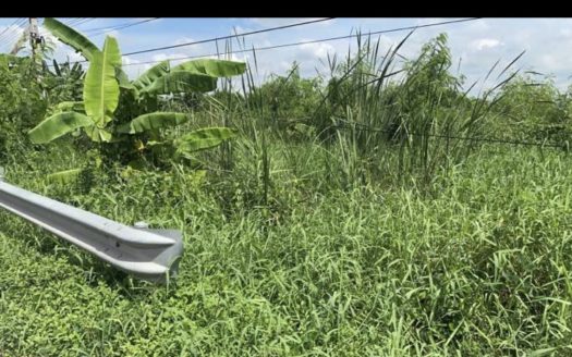 ที่ดินทำเลทอง ติดถนนคุ้มเกล้า สร้างหมู่บ้าน สร้างโกดัง เนื้อที่ 14-1-70 ไร่ ขายไร่ละ 4.5 ล้านบาท ลาดกระบัง กรุงเทพฯ