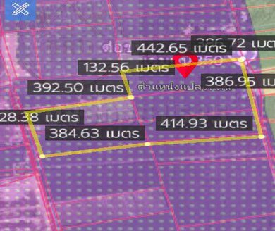 ที่ดินม่วงลาย ติดนิคมหลักชัยการยาง เมืองระยอง เนื้อที่ 155-1-88 ไร่ ขายไร่ละ 1.6 ล้าน อ.เมืองระยอง จ.ระยอง