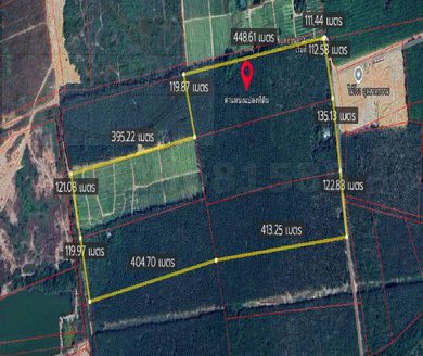 ที่ดินม่วงลาย ติดนิคมหลักชัยการยาง เมืองระยอง เนื้อที่ 155-1-88 ไร่ ขายไร่ละ 1.6 ล้าน อ.เมืองระยอง จ.ระยอง