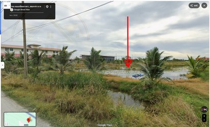 ขายที่ดินผังสีม่วงเข้ม ถนนบางนาตราด กม.36 วัดพิมพาวาส เนื้อที่ 31 ไร่ ถนน ปส.5004 คลองนิยมยาตรา บางบ่อ สมุทรปราการ 10560