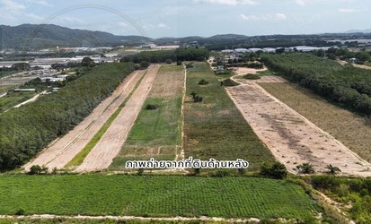 ขายที่ดินผังสีม่วง พัฒนานิคม เนื้อที่ 36 ไร่ ใกล้BYD พัฒนานิคม ต.มะขามคู่ อ.นิคมพัฒนา จ.ระยอง 21180