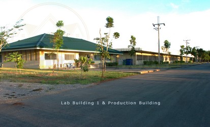 ขายโรงงาน ระบบโลจีสตกส์ ในจังหวัดระยอง เนื้อที่ 101-2-80 ไร่ ตำบลน้ำเป็น อำเภอเขาชะเมา ระยอง 22160