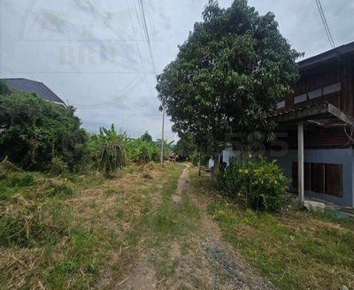 ขายที่ดินติดถนนสุขุมวิทบางพระ เมืองชลบุรี เนื้อที่ 1-3-61 ไร่ (761 ตรว.) ขายเหมา 30 ล้าน เมืองชลบุรี 20110